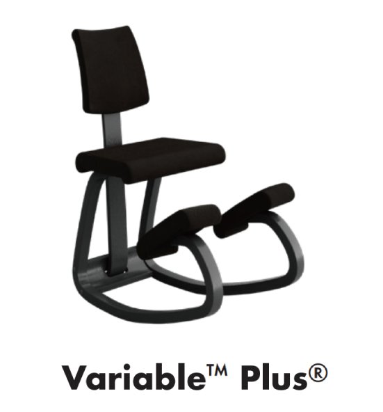 VARIER ヴァリエール バランスチェア Variable Plus バリアブル プラス 
